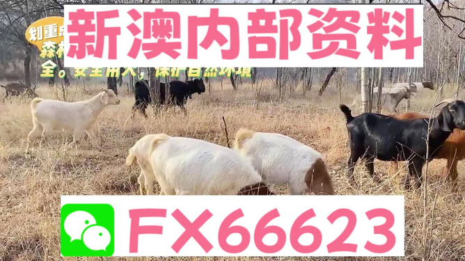 2024新澳正版资料大全旅游团,猫咪镇静后_起步版8.93