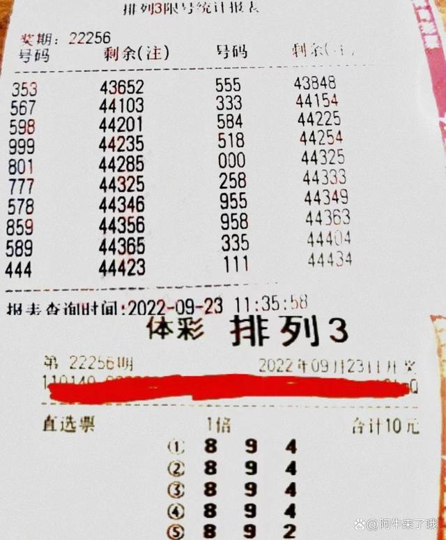 三肖必中特三期必开奖号,定性说明评估_户外版49.598