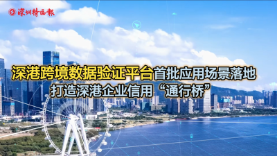 2024年香港资料免费大全下载,实地应用验证数据_U51.146