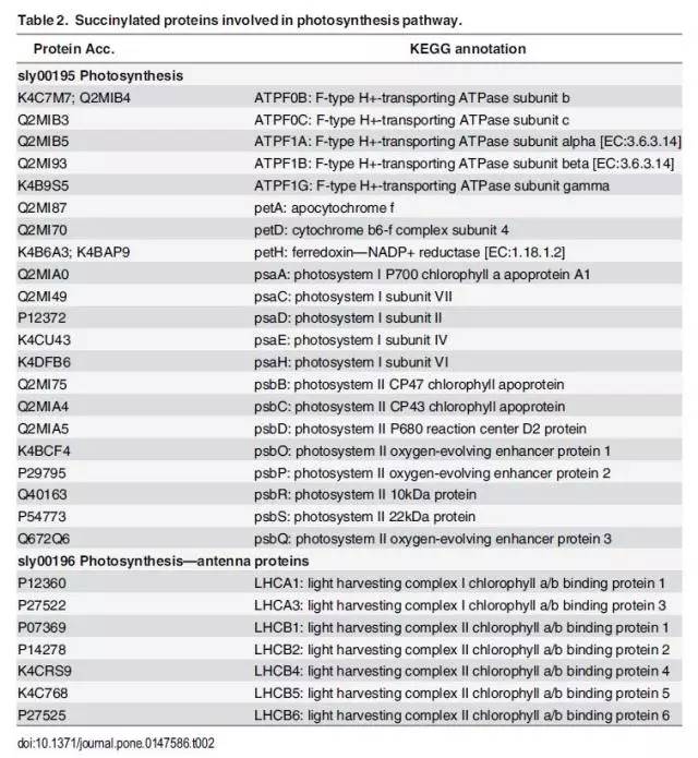 香港二四六日免费资料单双,精细化评估解析_3D29.244