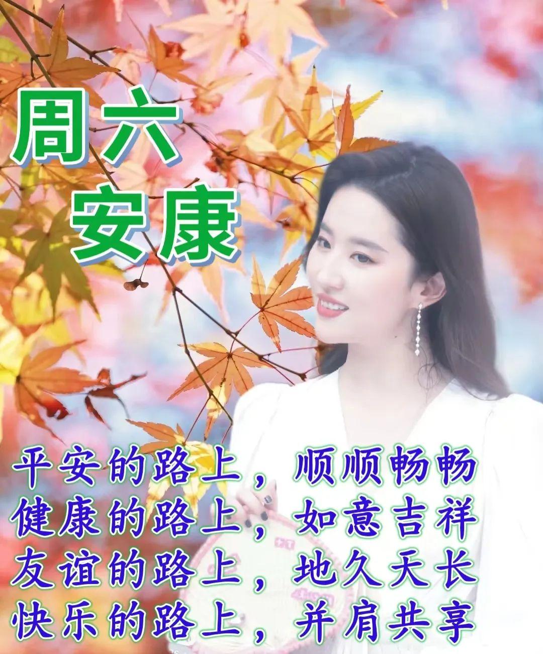 音乐早上好，图片与美好旋律的交融时刻