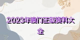 2023澳门天天正版资料,创新性方案解析_粉丝版62.338