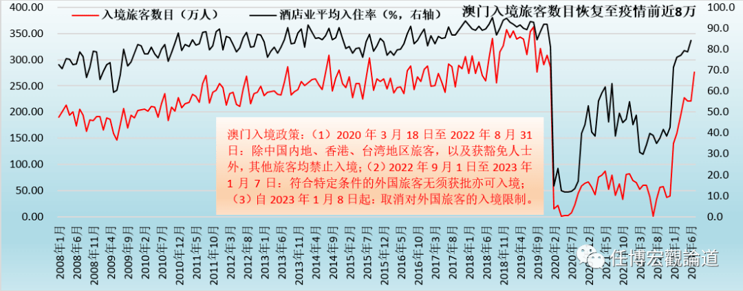 2024年12月8日 第31页