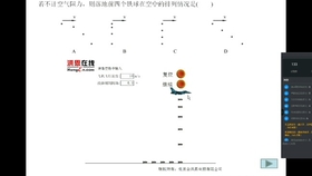 2024年12月9日 第39页