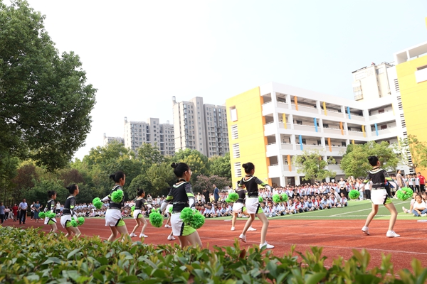 合肥市最新小学概览介绍