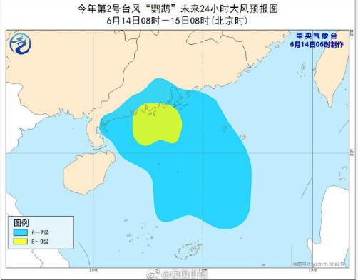 鹦鹉台风最新路径动态，影响及应对指南