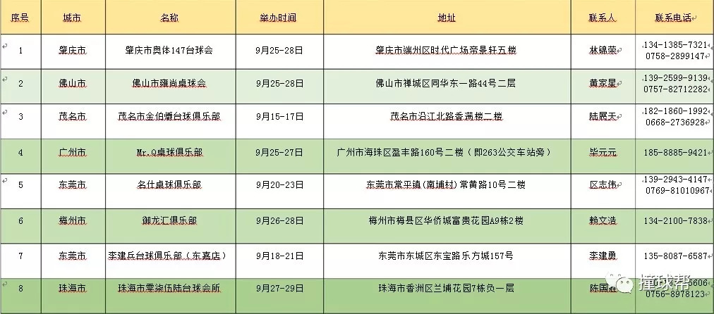 2024年12月11日 第31页