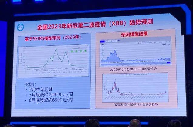 新冠病毒2024年最新消息,深层数据计划实施_D版79.156