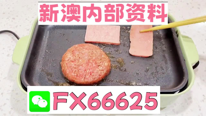 澳门一码一码100%精准王中王75期,动态词语解释落实_HD38.32.12