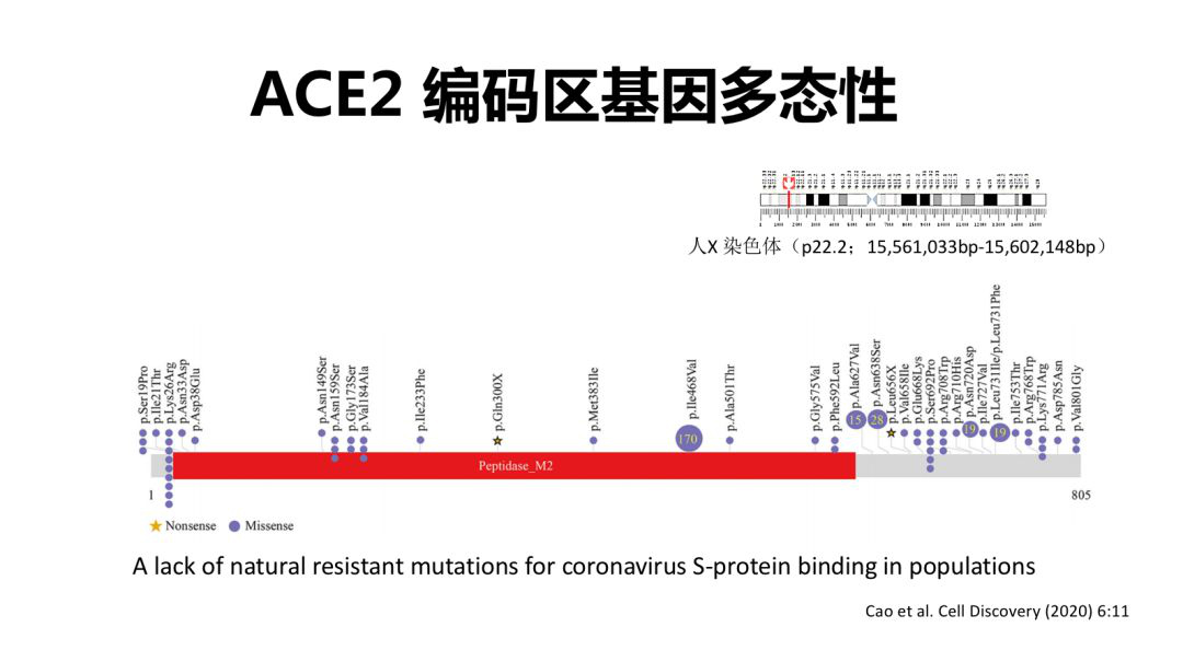 7777788888澳门,专业研究解释定义_静态版15.972