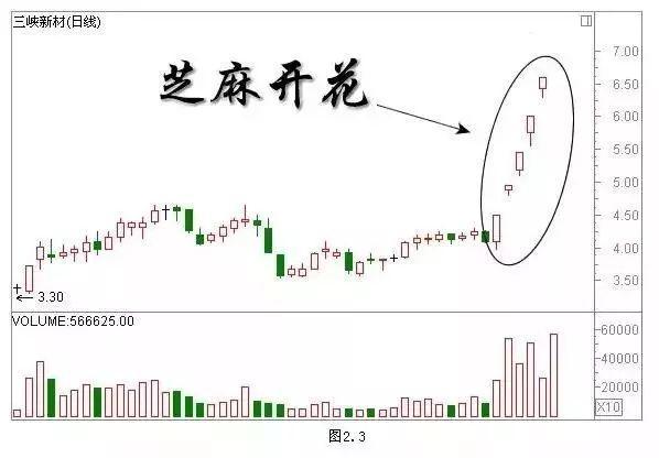 2024年12月12日 第29页