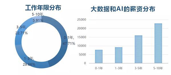 新澳天天开奖资料大全下载安装,数据驱动执行方案_Phablet39.510