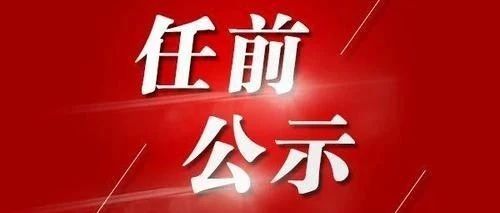 中国最新干部任命公示，新时代领导力量重塑与期待展望