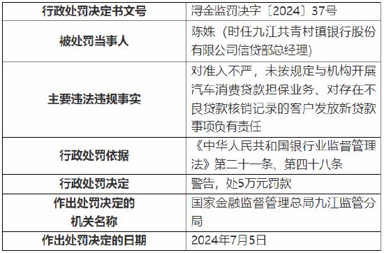 2024新澳开奖结果+开奖记录,定性评估说明_粉丝版49.867