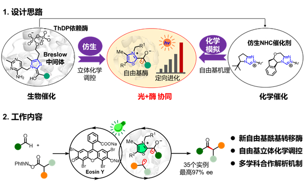 酶最新进展引领生物科技新时代革新风潮