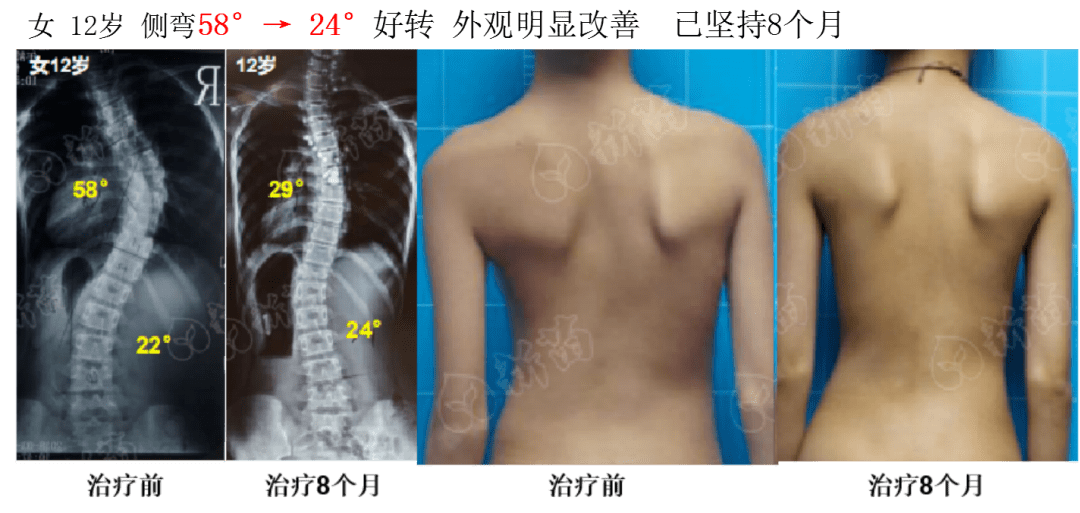 52开奖一香港码,动态调整策略执行_精简版105.220