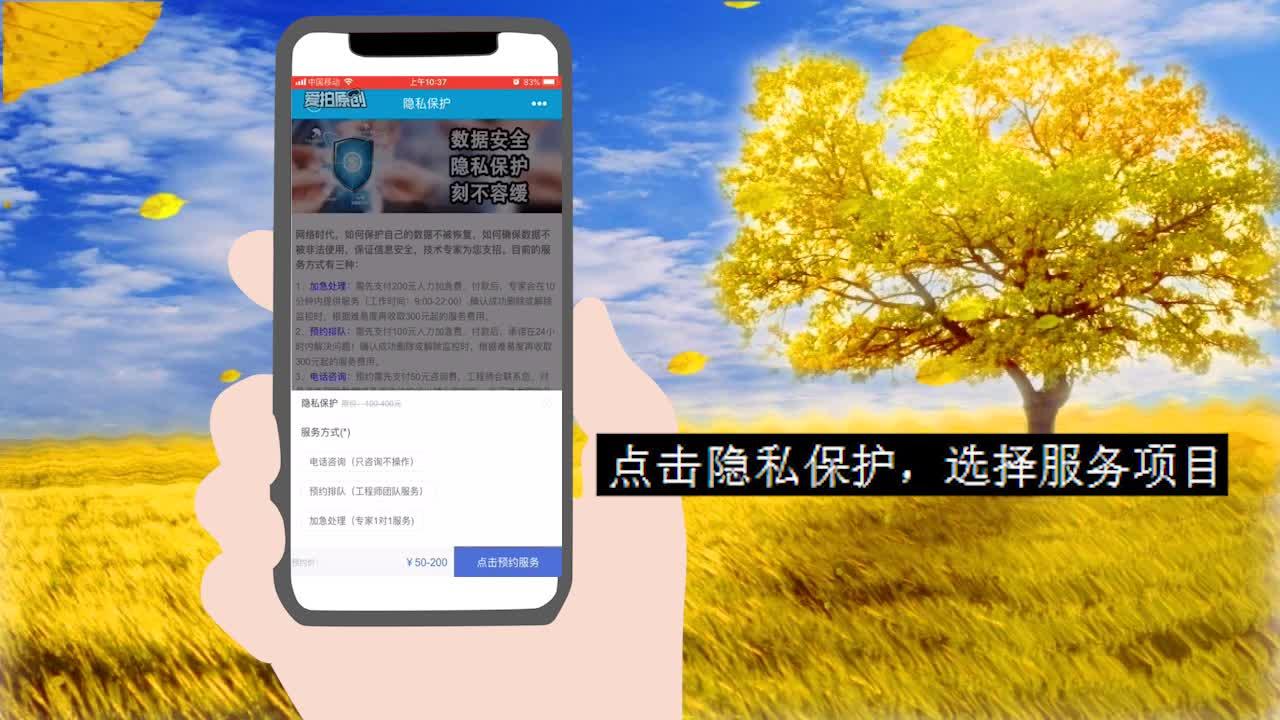 新奥开奖历史记录查询,持续解析方案_桌面版45.177