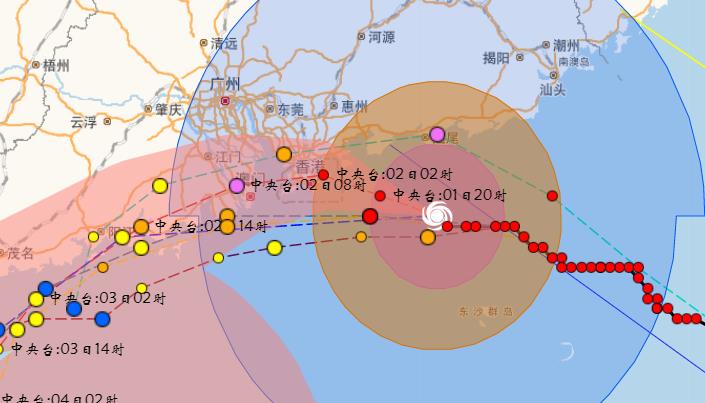 2024年12月16日 第11页