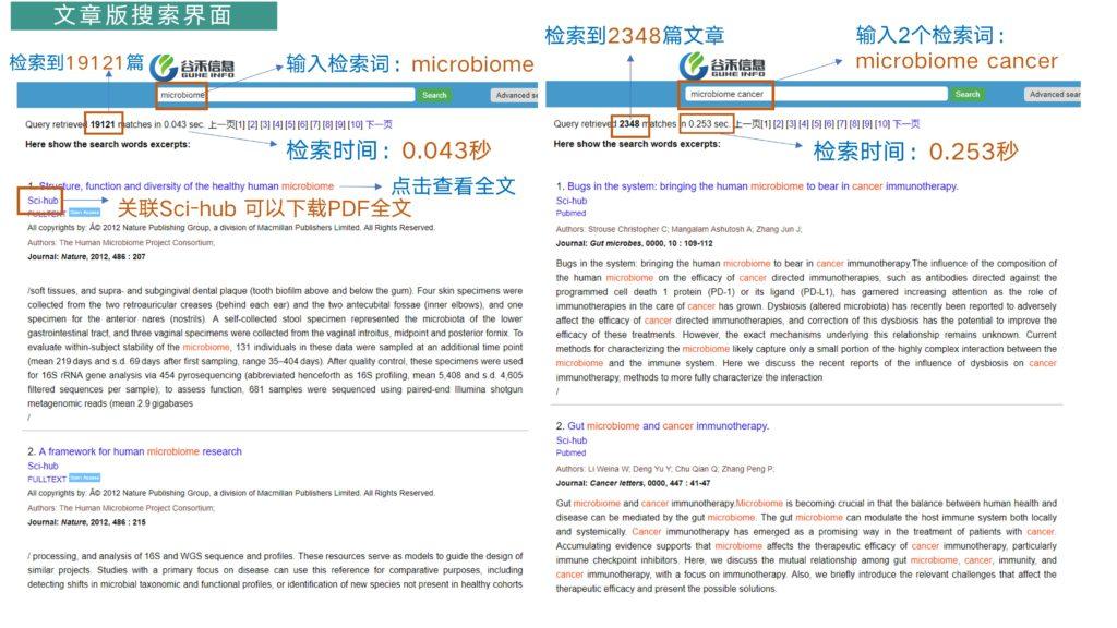 新澳最精准免费资料,效率资料解释落实_Surface76.170