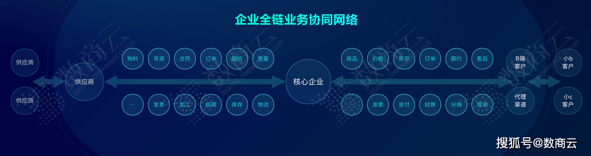 62669cc澳彩资料大全2020期,实效性策略解读_C版16.60