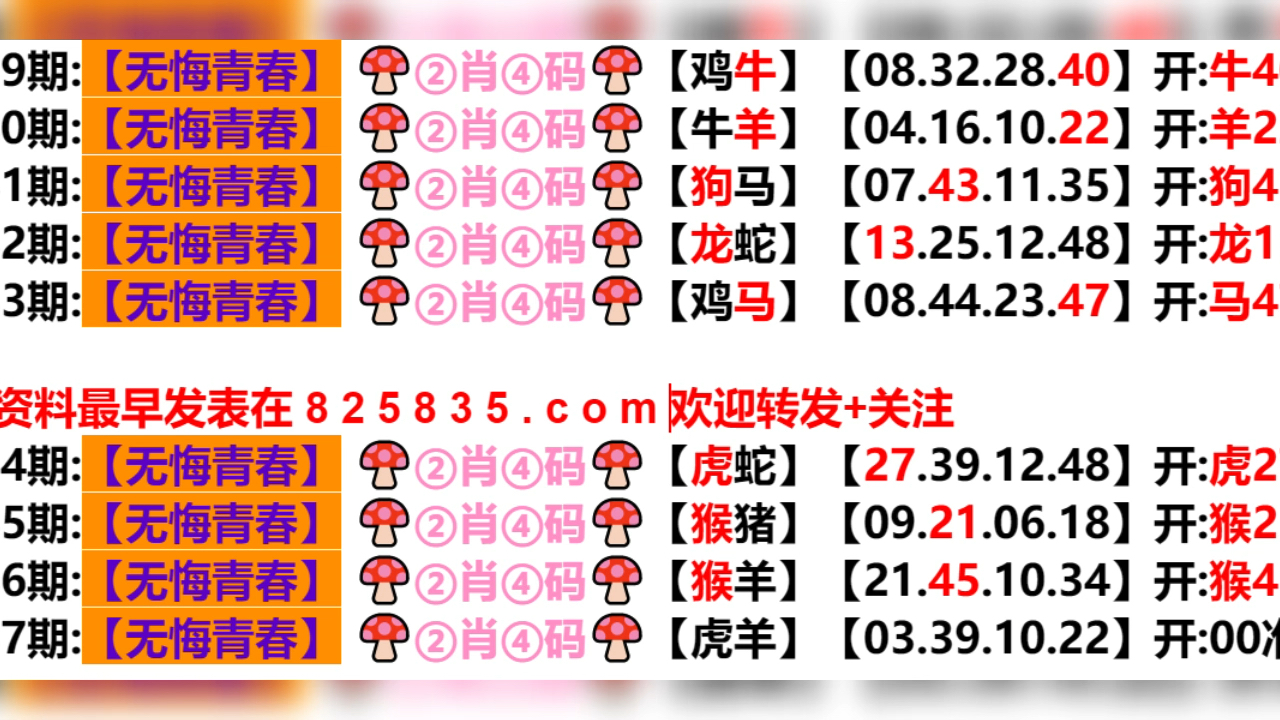 2024澳门特马今晚开奖的背景故事,全面数据执行计划_U19.287