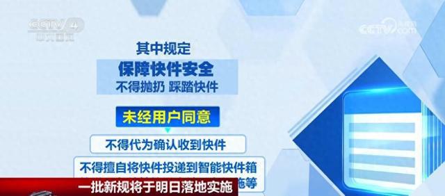 2024年正版资料免费大全一肖,全局性策略实施协调_W81.769