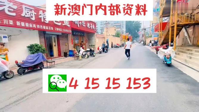 2024澳门天天开好彩大全免费,实地考察分析_复刻款36.118