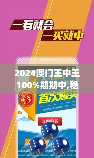 澳门王中王100%期期中,定制化执行方案分析_HD48.104