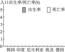 2024年12月24日 第52页