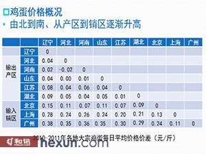 今日鸡蛋价格行情分析，市场动态概览