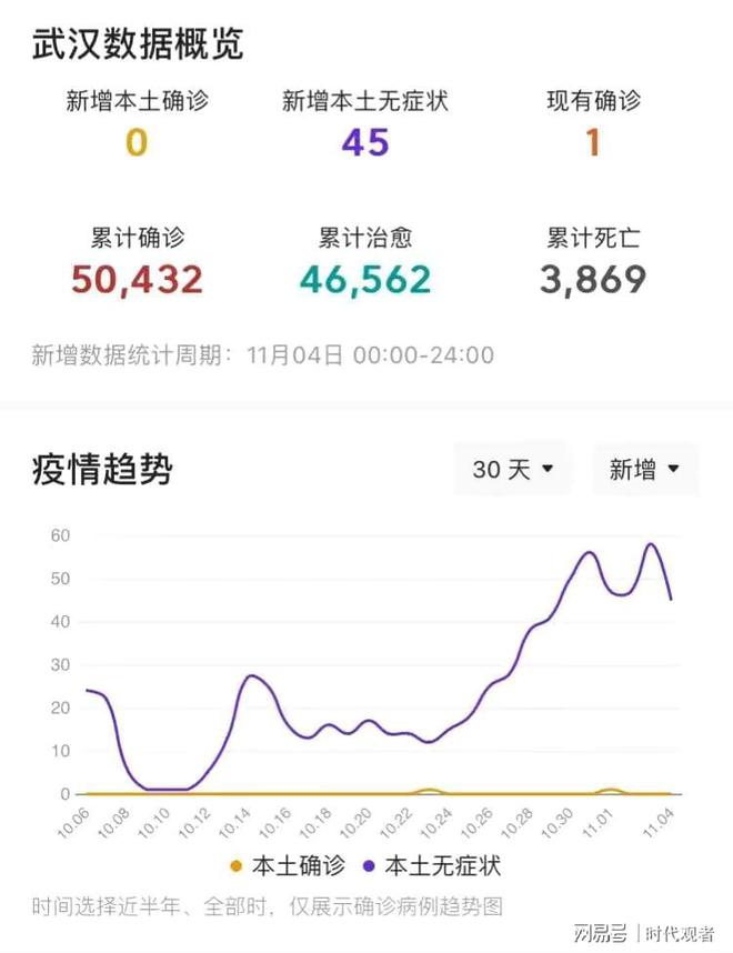 湖北最新疫情消息深度解析，11月疫情动态分析