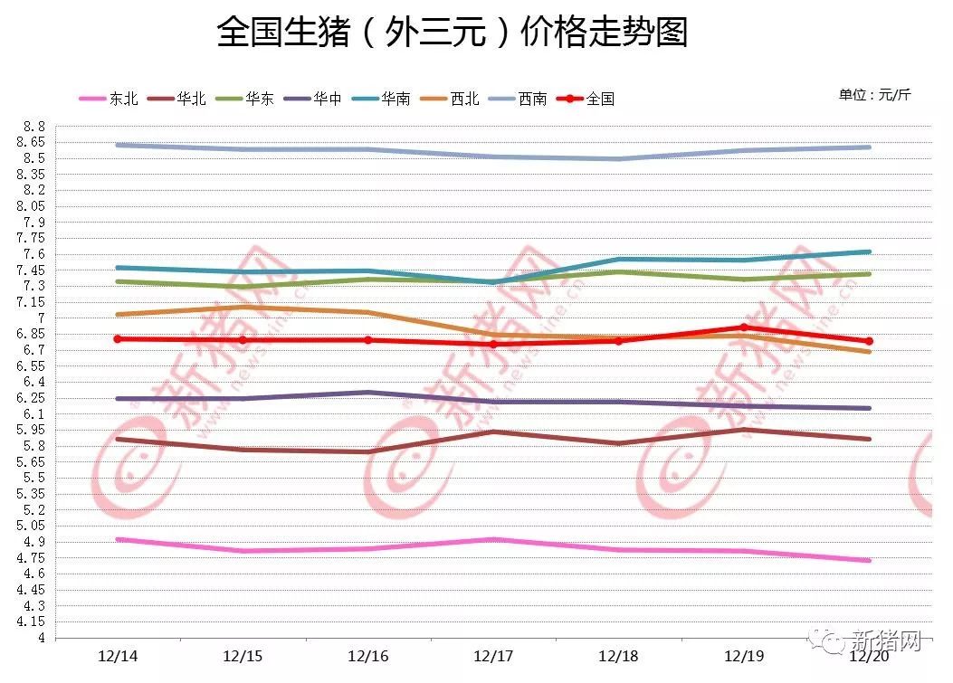 最新猪价及明日生猪市场走势解析