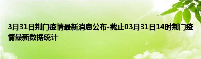 荆门最新疫情动态及防控措施更新报告