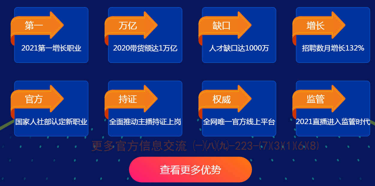 华招网最新动态及未来发展展望概览