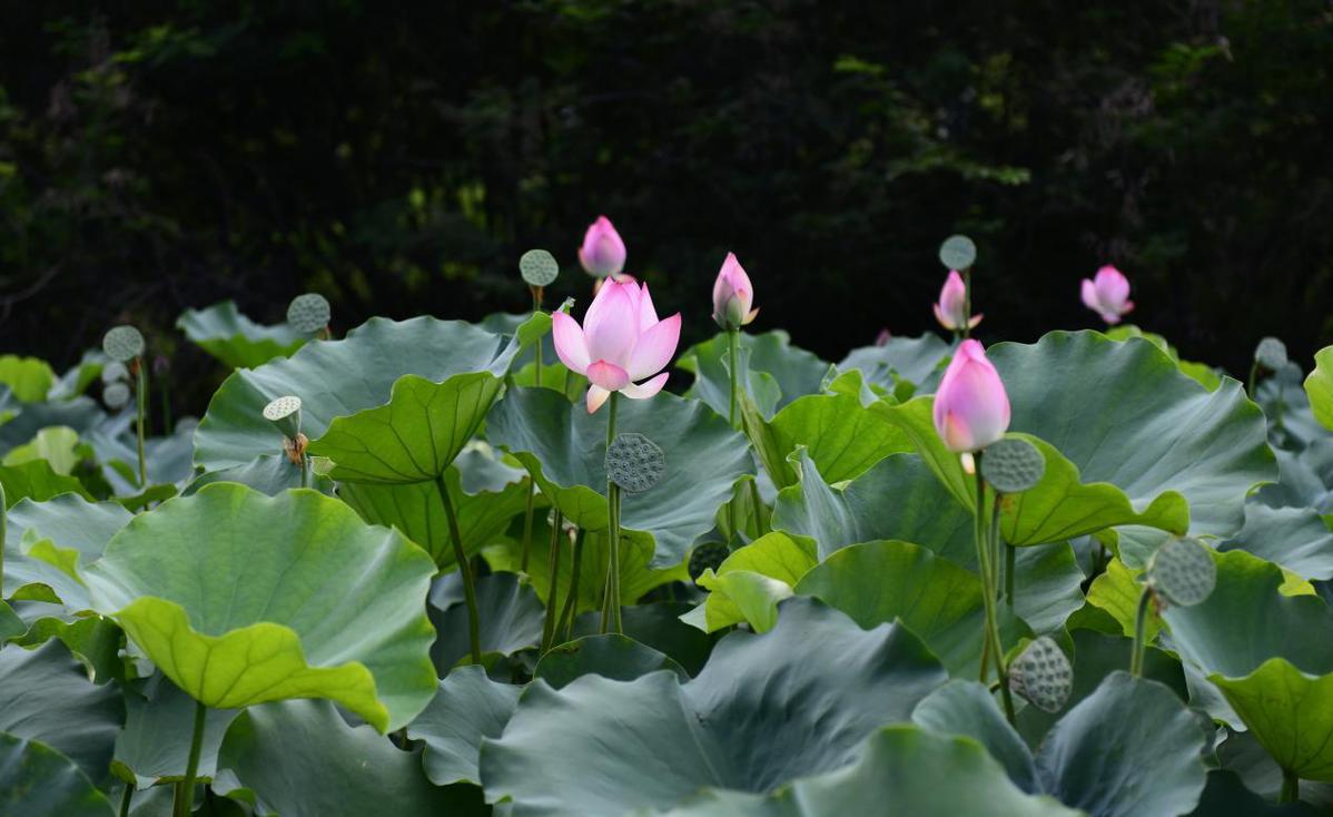 漳州港，繁荣发展的港口经济与活力四溢的城市风采